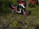 Yiying MTX