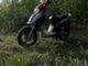 Yiying MTX