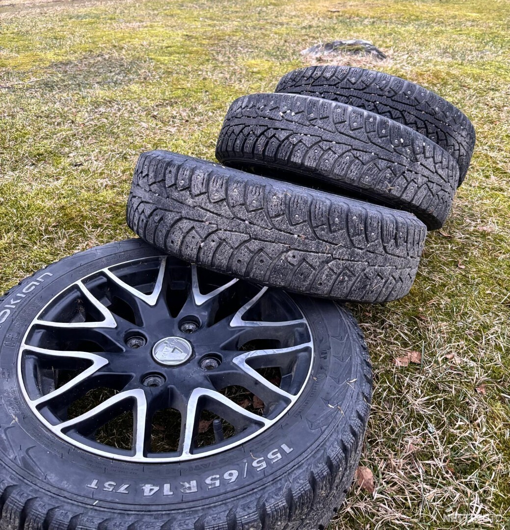 19 / 19