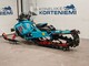 Ski-Doo Freeride