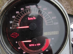 Harley-Davidson Softail