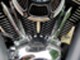 Harley-Davidson Softail