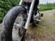 Harley-Davidson Softail