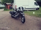 Honda Shadow
