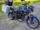 Triumph Tiger