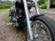 Harley-Davidson Softail