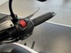 Victory Hammer