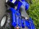 Yamaha Grizzly