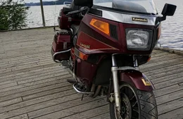 Kawasaki W