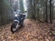 Honda XRV