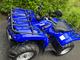 Yamaha Grizzly