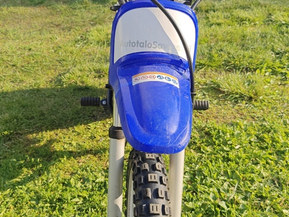 Yamaha PW