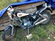 Aprilia Red Rose