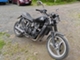 Kawasaki Eliminator