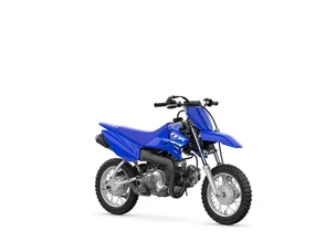 Yamaha TT-R
