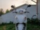 Honda Vision