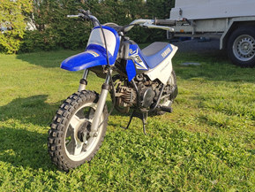 Yamaha PW
