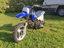 Yamaha PW