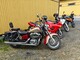 Honda Shadow
