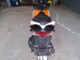 Honda NSC