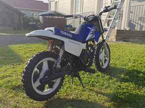 Yamaha PW