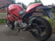 Ducati Monster