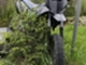 Yamaha DT