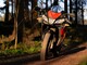 Aprilia RS