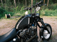 Harley-Davidson Sportster