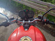 Ducati Monster