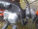 Honda Monkey