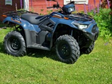Kawasaki Brute Force