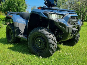 Kawasaki Brute Force