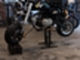 Honlei 50 cc