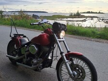Harley-Davidson Softail