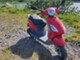 Piaggio Fly