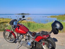 Harley-Davidson Softail