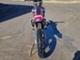 Honda CRF