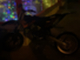 Derbi Senda