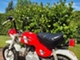 Honda Monkey