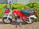 Honda Monkey