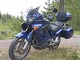 Honda XL