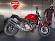 Ducati Monster