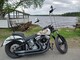 Harley-Davidson Softail