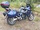 Honda XL