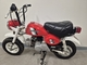 Honda Monkey