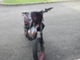 Drac Supermoto