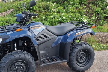 Kawasaki Brute Force