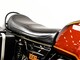 BMW R