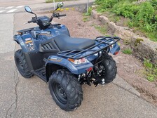 Kawasaki Brute Force